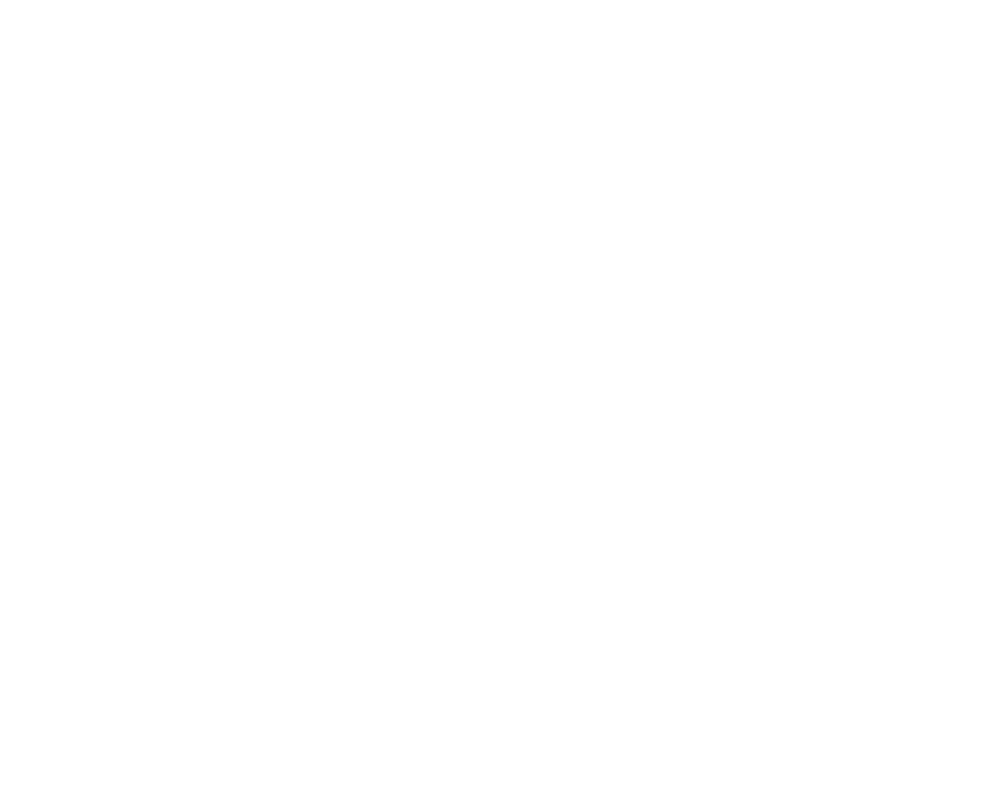 Red Ant Solutions