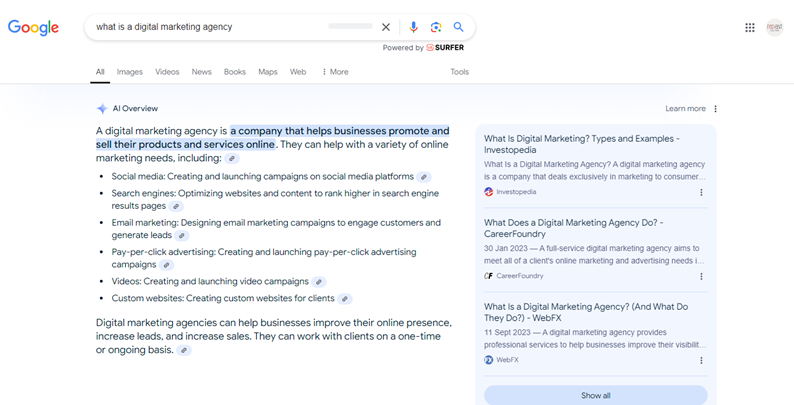 ai-overview-for-digital-marketing-agency